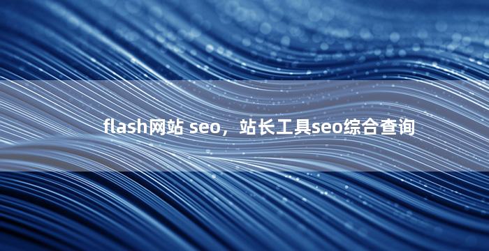flash网站 seo，站长工具seo综合查询